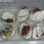 Eiablage, Zucht, Morelia viridis, Grüner Baumpython, Chondropython, 