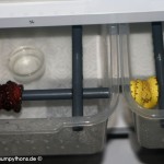 Rack, Morelia viridis, Grüner Baumpython