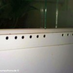 Lüftungslöcher, Terrarium, Terrarienanlage, Morelia viridis, Grüner Baumpython